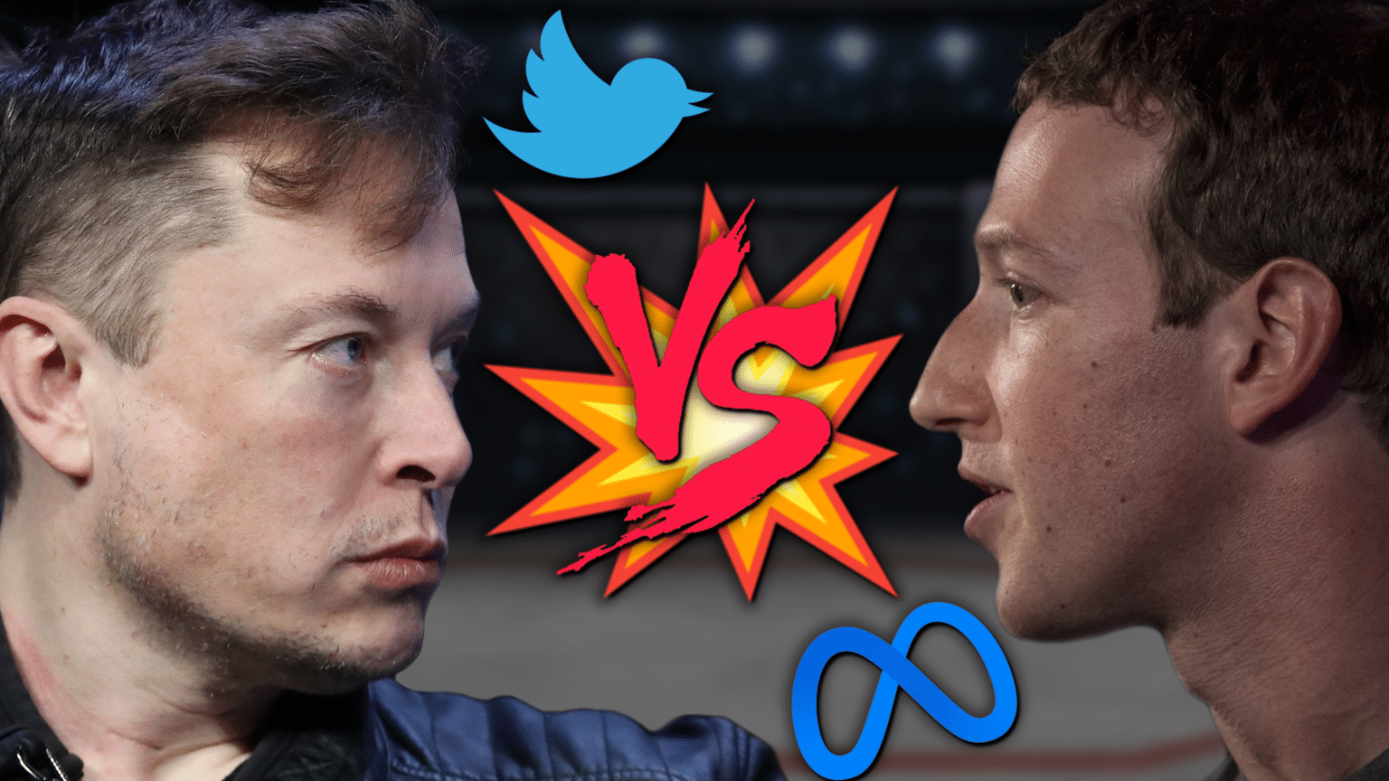 Musk Vs Zuckerberg Cage Fight