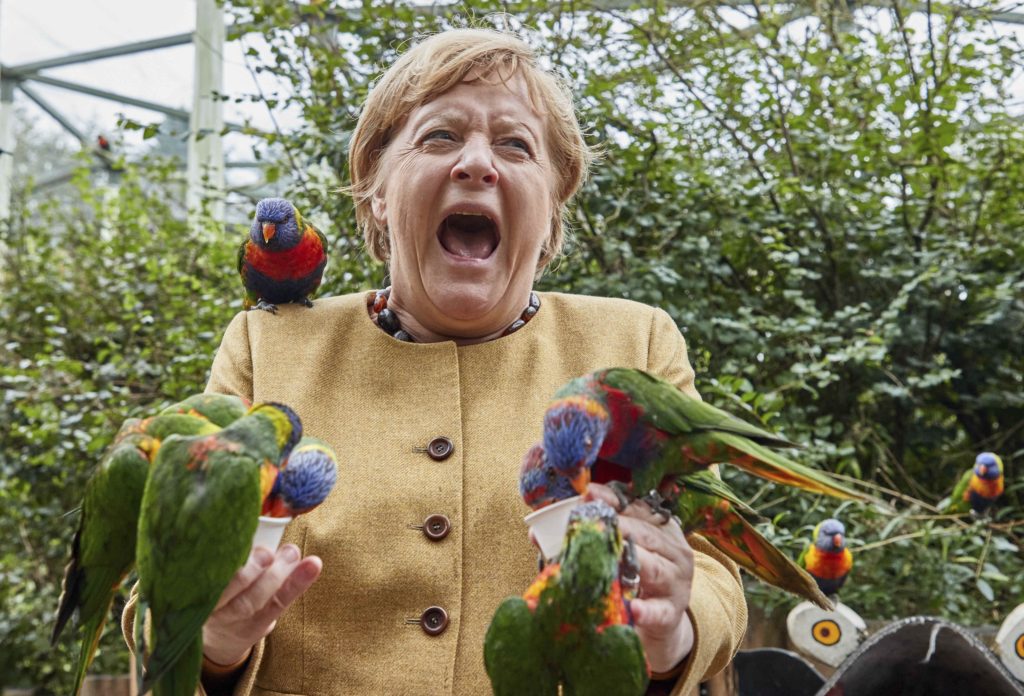 New German leader In the Wings as Merkel Prepares to take flight