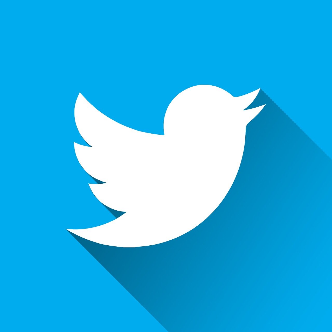 twitter, logo, blue-2672572.jpg