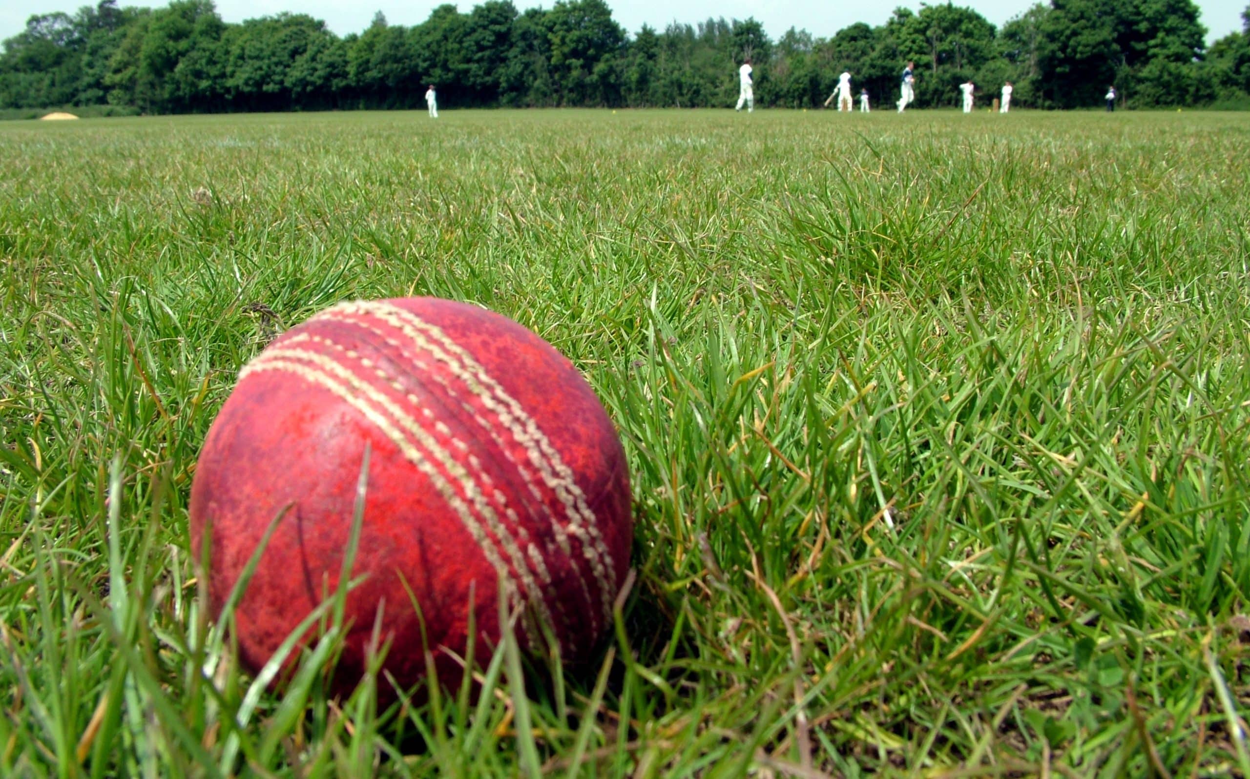 Cricket ball close up
