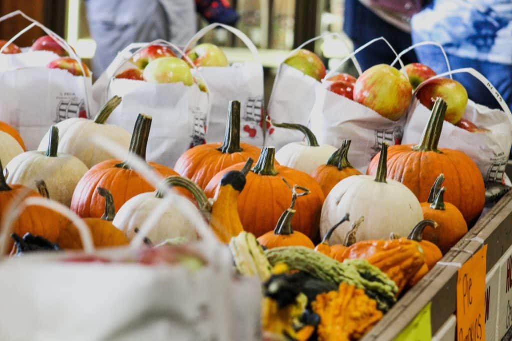 7 Halloween marketing ideas to revolutionise sales
