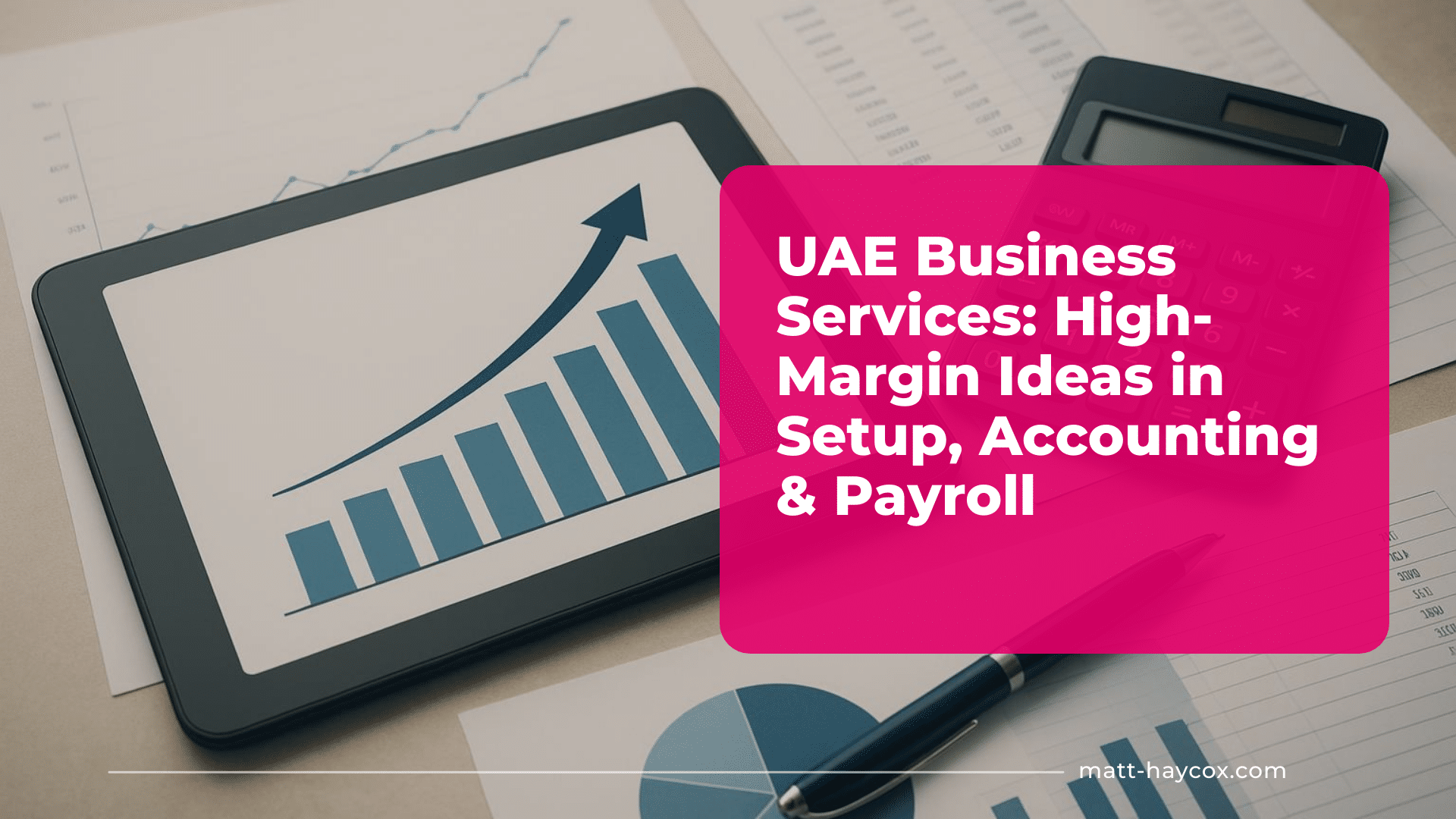 UAE Business Services - High-Margin Ideas in Setup, Accounting & Payroll